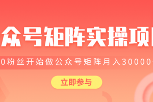 价值2580元公众号矩阵实操项目，从0粉丝开始做赚钱的公众号矩阵，月入3000+