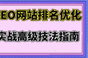 樊天华·SEO网站排名优化实战高级技法指南，让客户找到你