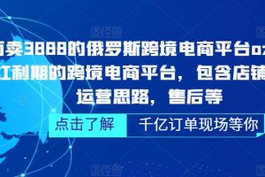 外面卖3888的俄罗斯跨境电商平台ozon运营，当下红利期的跨境电商平台，包含店铺申请，运营思路，售后等