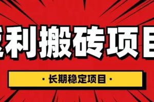 国外返利网项目，返利搬砖长期稳定，月入3000刀（深度解剖）