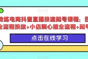 峰教练电商抖音直播投流起号课程：巨量千川全流程投放+小店随心推全流程+起号方式