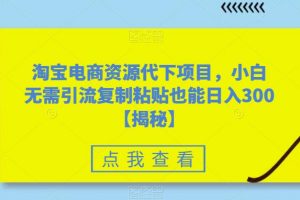 淘宝电商资源代下项目，小白无需引流复制粘贴也能日入300＋【揭秘】