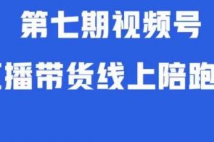 视频号直播带货线上陪跑营第七期：算法解析+起号逻辑+实操运营