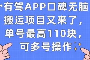 有驾APP口碑无脑搬运项目又来了，单号最高110块，可多号操作