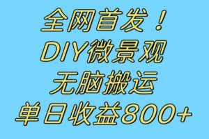 全网首发冷门赛道！DIY微景观，无脑搬运视频，日收益800+【揭秘】