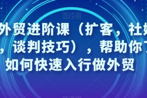 凤姐外贸进阶课（扩客，社媒，沟通，谈判技巧），帮助你了解如何快速入行做外贸