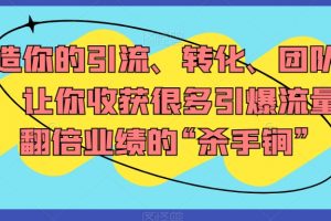 打造你的引流、转化、团队系统，让你收获很多引爆流量、翻倍业绩的“杀手锏”