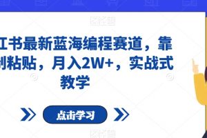 小红书最新蓝海编程赛道，靠复制粘贴，月入2W+，实战式教学【揭秘】