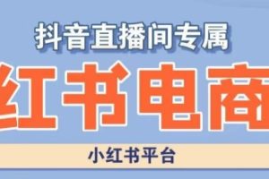 小红书电商高级运营课程，实操教学+案例分析