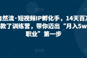 自然流·短视频IP孵化手，14天百万爆款了训练营，带你迈出“月入5w新职业”第一步