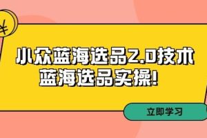 拼多多培训第33期：小众蓝海选品2.0技术-蓝海选品实操！