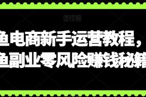 闲鱼电商新手运营教程，闲鱼副业零风险赚钱秘籍