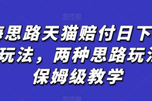 蓝海思路天猫赔付日下2000+玩法，两种思路玩法，保姆级教学【仅揭秘】