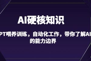 AI硬核知识-GPT喂养训练，自动化工作，带你了解AI的能力边界（10节课）