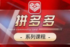 2024拼多多系列课，【基础】【运营】【活动】【推广】【玩法】5大模块