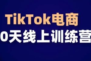 TikTok电商带货30天线上课，不可错过的全球流量洼地！