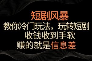 短剧风暴，教你冷门玩法，玩转短剧，收钱收到手软【揭秘】