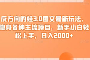 反方向的蛙3.0图文最新玩法，隐身各种主流项目，新手小白轻松上手，日入2000+【揭秘】