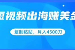 短视频出海赚美金，复制粘贴批量操作，小白轻松掌握，月入4500美刀【揭秘】