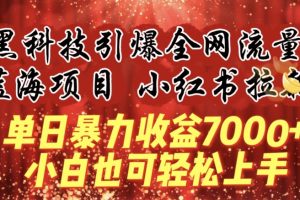 蓝海项目!黑科技引爆全网流量小红书拉新，单日暴力收益7000+，小白也能轻松上手【揭秘】