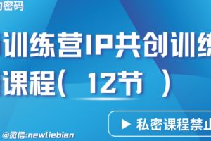 导师训练营3.0IP共创训练营私密实操课程（12节）-卖项目的密码成功秘诀【揭秘】