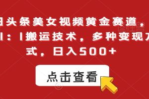 今日头条美女视频黄金赛道，最新1：1搬运技术，多种变现方式，日入500+【揭秘】