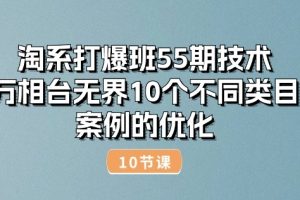 淘系打爆班55期技术：万相台无界10个不同类目案例的优化(10节)