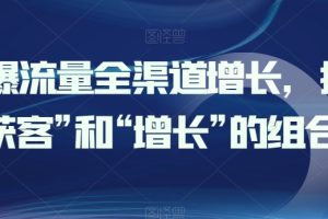 引爆流量全渠道增长，打好“获客”和“增长”的组合拳