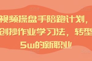 IP短视频操盘手陪跑计划，全平台独创抄作业学习法，转型月入5w的新职业