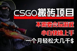 CSGO 装备搬砖项目，操作简单，不需要会玩游戏，小白也能快速上手，一个月轻松大几千【揭秘】