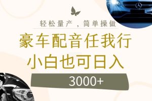 不为人知的暴力小项目，豪车配音，日入几张【揭秘】