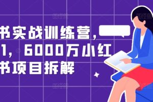 小红书实战训练营，从0到1，6000万小红书项目拆解