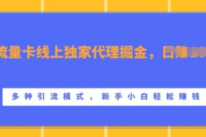 流量卡线上独家代理掘金，日入1k+ ，多种引流模式，新手小白轻松上手【揭秘】