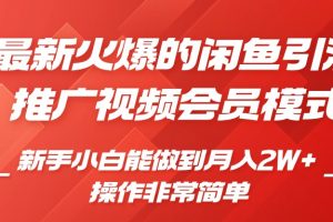 闲鱼引流推广影视会员，0成本就可以操作，新手小白月入过W+【揭秘】