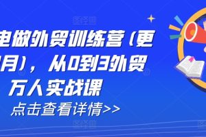 AI闪电做外贸训练营(更新11月)，从0到3外贸万人实战课