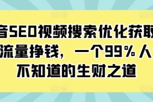 抖音SEO视频搜索优化获取免费流量挣钱，一个99%人还不知道的生财之道