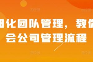 精细化团队管理，教你学会公司管理流程