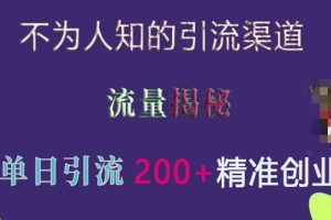 不为人知的引流渠道，流量揭秘，实测单日引流200+精准创业粉【揭秘】