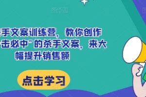 AI杀手文案训练营，教你创作出“一击必中”的杀手文案，来大幅提升销售额