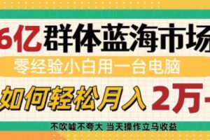 6亿群体蓝海市场，零经验小白用一台电脑，如何轻松月入过w【揭秘】