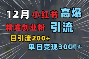 小红书一张图片“引爆”创业粉，单日+200+精准创业粉 可筛选付费意识创业粉【揭秘】